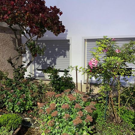 Moderne Souterrain-Oase In Top-Lage Bad Hersfeld Ngoại thất bức ảnh